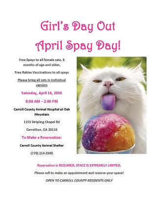 free spay event